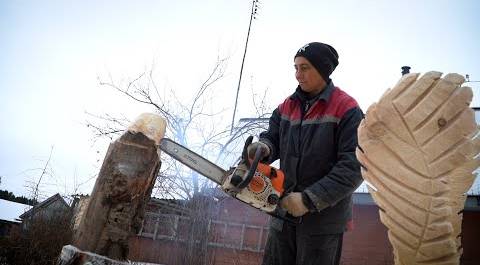 Жительница Первоуральска с помощью бензопилы создает удивительные скульптуры из дерева. #ЛюдиДела45