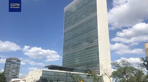 Совбез ООН провел открытые дискуссии по вопросам безопасности миротворцев