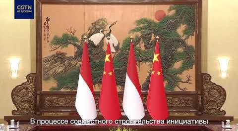 Си Цзиньпин в Пекине провел встречу с президентом Индонезии