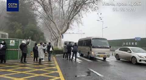 Эксперты Китая и ВОЗ посетили CDC провинции Хубэй и города Ухань
