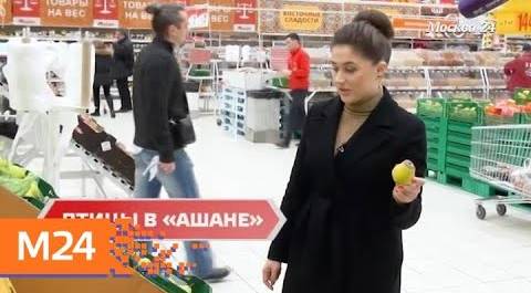 "Городской стандарт": животные и птицы в продуктовых магазинах - Москва 24