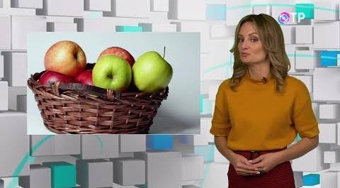 Какие яблоки самые вкусные? Чем отличаются импортные от отечественных?