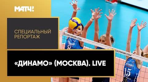 «Динамо (Москва). Live». Специальный репортаж