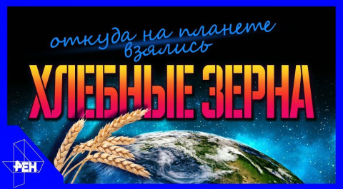 День космических историй. Выпуск 3 (04.11.2018).