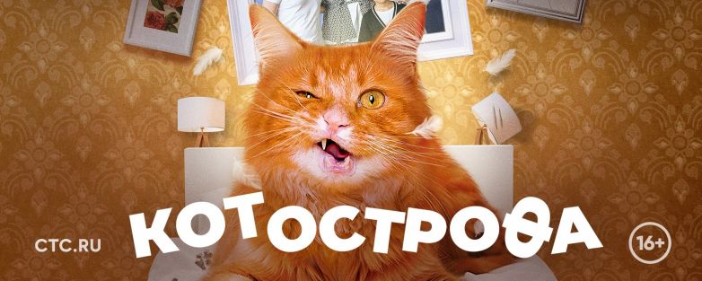 Котострофа