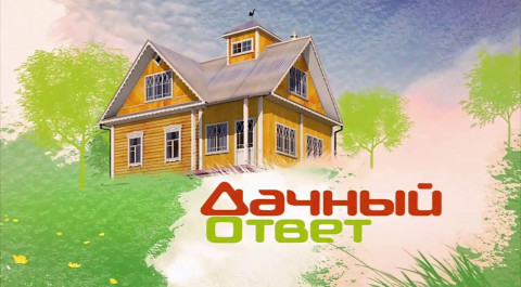 Дачный ответ