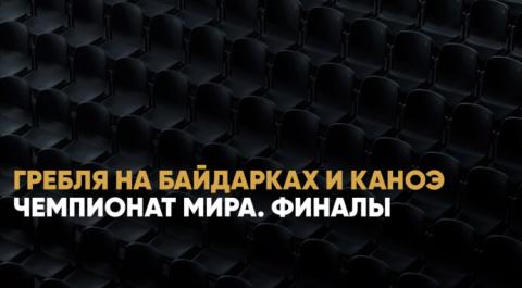 Чемпионат мира. Финалы