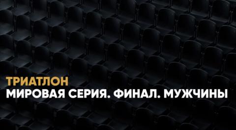 Мировая серия. Финал. Мужчины