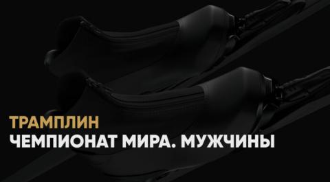 Чемпионат мира. Мужчины