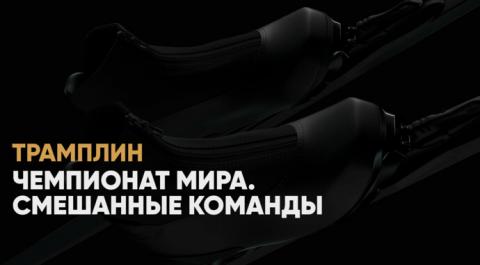 Чемпионат мира. Смешанные команды