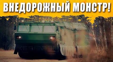 30 тонн металла! Сочлененный вездеход ДТ-30 "Витязь". Русский транспорт. Обзор. Поехали!