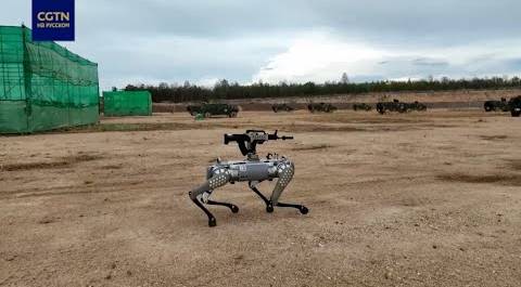 Собаки-роботы участвуют в совместных военных учениях в Камбодже