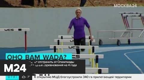 Комитет WADA рекомендовал отстранить РФ от соревнований на 4 года - Москва 24