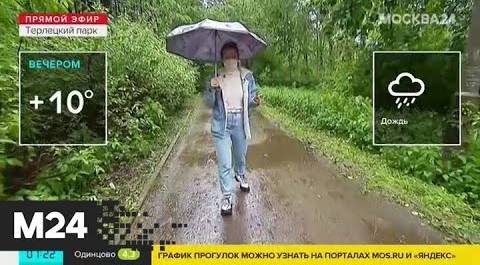 "Утро": дожди в Москве продолжаться в течение всего понедельника - Москва 24