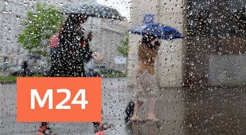 "Жизнь в большом городе": последствия дождей - Москва 24