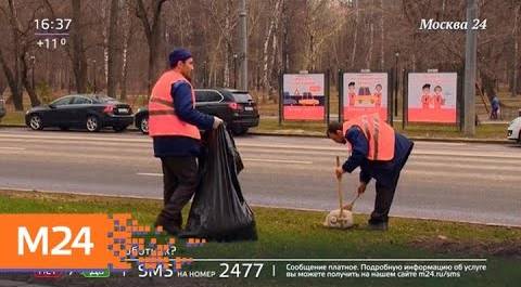 "Жизнь в большом городе": уборка мусора - Москва 24
