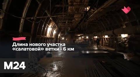"Это наш город": новая станция появится на салатовой ветке метро в столице - Москва 24