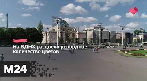"Это наш город": на ВДНХ подвели итоги сезона - Москва 24