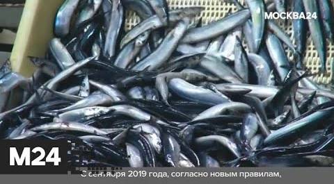"Городской стандарт": тунец "Дальпромрыба" - Москва 24