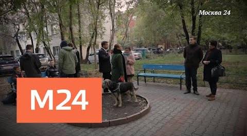 "Спорная территория": "ночь студента" - Москва 24