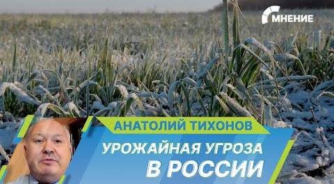 Майские заморозки уничтожили урожай в России