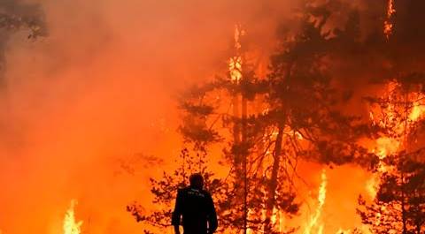 Аномальная жара спровоцировала массивные лесные пожары в Бурятии