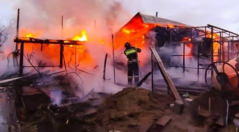 В России полыхают десятки пожаров. Какие штрафы грозят за шашлыки и разведение костров?