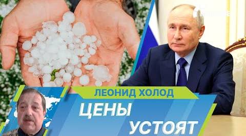 Путин поручил правительству не допустить скачков цен на сельхозпродукцию из-за майских заморозков