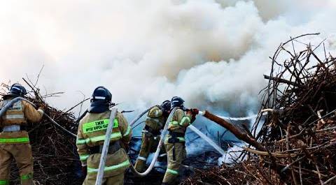 Рейды по пожарной безопасности начали проводить в Астане из-за частых случаев возгорания сухостоя