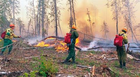 Лесные пожары в Якутии тушат больше тысячи человек