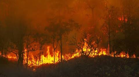 Природные пожары бушуют в Якутии. Огнем охвачены почти 100 тысяч гектаров