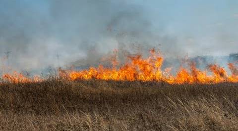 Природные пожары захватывают Забайкалье