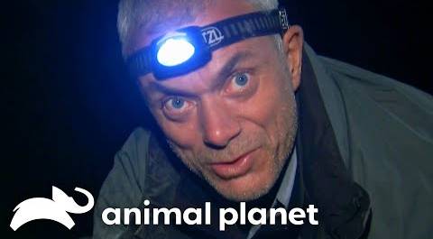 Witness the heart-pounding moments of Jeremy Wade