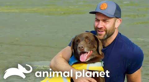 The SWEETEST Moments of Lee Asher & His Pack | My Pack Life | Animal Planet