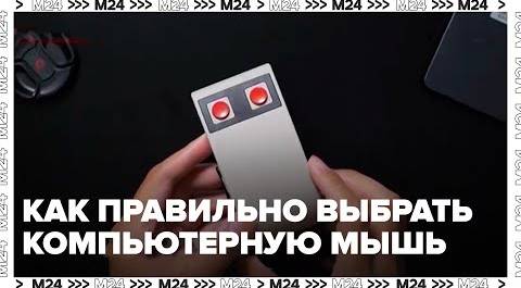 Техноблогер объяснил, как подобрать компьютерную мышь - Москва 24
