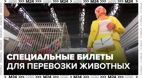 РЖД вводит специальные билеты для перевозки домашних животных - Москва 24