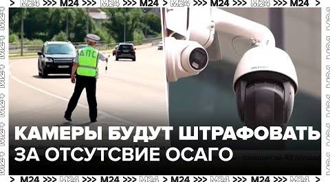 В России могут начать штрафовать за отсутствие полиса ОСАГО с помощью дорожных камер - Москва 24