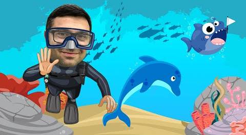 "Почему акулы боятся дельфинов?" Познавательная программа с Александром Толмачевым @Моя Планета