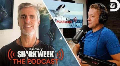 What is the Status of Sharks in our Oceans? – Shawn Heinrichs | Shark Week: The Podcast