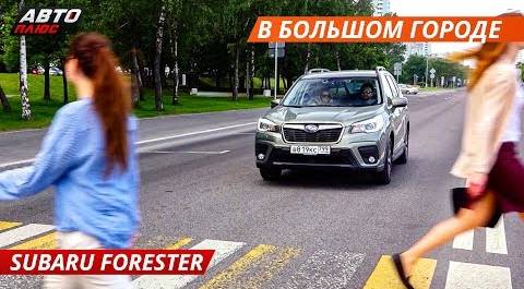 Блогеры тестируют Subaru Forester на пригодность в большом городе | Своими глазами
