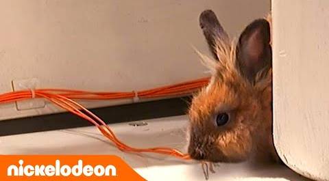 Опасный Генри | Спасение кроликов | Nickelodeon Россия