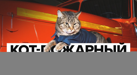 В тюменской пожарной части живёт кот-антистресс Семён