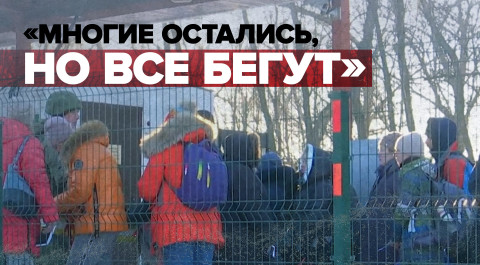 Более 150 беженцев с Украины прибыли на границу России — видео