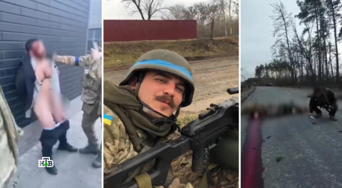 Почему мировое сообщество игнорирует зверства украинских националистов