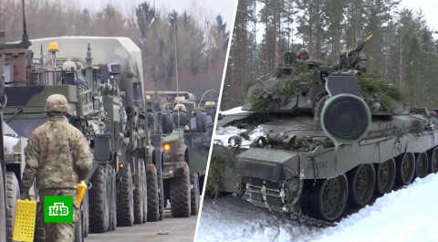 Идея Польши о миротворческой миссии НАТО на Украине: реальна ли угроза ввода войск