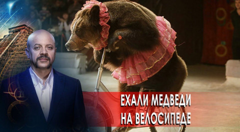 Ехали медведи на велосипеде | Загадки человечества с Олегом Шишкиным (19.11.20).