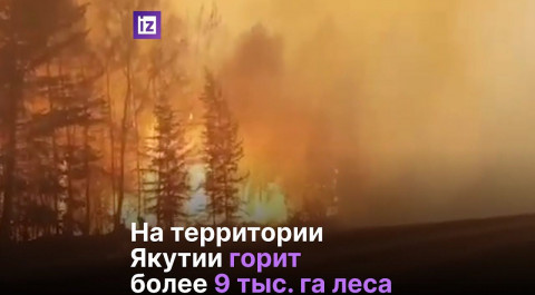Пожарные борются с лесными пожарами по всей стране