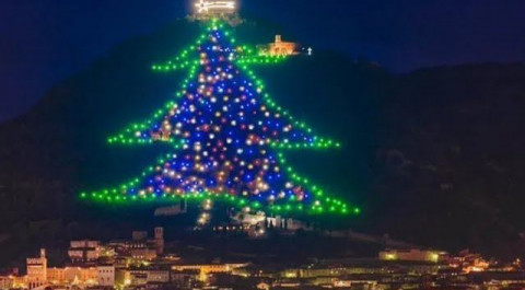 В Италии зажгли самую большую в мире рождественскую ель