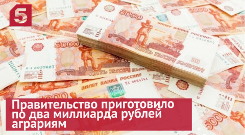 Правительство приготовило по два миллиарда рублей аграриям и молодым бизнесменам