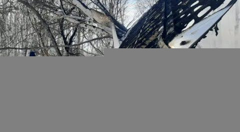 Подробности авиакатастрофы на Камчатке: самолет сгорел, оба пилота погибли